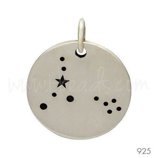 Achat Pendentif constellation du zodiaque Poissons argent 925 (1)