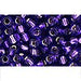 Achat au détail cc2224 perles de rocaille toho 6/0 silver lined purple (10g)