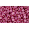 Achat au détail cc2106 perles de rocaille Toho 8/0 silver lined milky hot pink (10g)