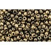 Creez avec cc1706 perles de rocaille Toho 11/0 gilded marble black (10g)