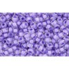 Achat au détail cc966 perles de rocaille Toho 11/0 crystal/ purple lined (10g)