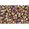 Creez cc614 perles de rocaille Toho 11/0 matt colour iris brown (10g)