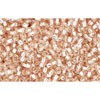 Achat au détail cc31 perles de rocaille Toho 15/0 silver lined rosaline (5g)