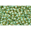 Acheter en gros cc380 perles de rocaille Toho 11/0 topaz/mint julep lined (10g)