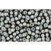 Creez cc371 perles de rocaille Toho 11/0 black diamond/white lined (10g)