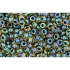 Achat en gros cc243 perles de rocaille Toho 11/0 inside colour rainbow topaz/opaque emerald lined (10g)