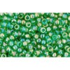 Acheter au détail cc167b perles de rocaille Toho 11/0 transparent rainbow grass green (10g)