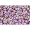 Achat au détail cc166bf perles de rocaille Toho 11/0 trans-rainbow frosted med amethyst (10g)