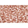 Achat au détail cc31 perles de rocaille Toho 11/0 silver lined rosaline (10g)