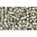 Achat cc29af perles de rocaille Toho 11/0 silver lined frosted black diamond (10g)