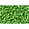 Creez cc27f perles de rocaille Toho 11/0 silver lined frosted peridot (10g)