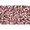 Vente cc26 perles de rocaille Toho 11/0 silver lined light amethyst (10g)