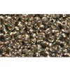 Achat cc999 perles de rocaille Toho 11/0 gold lined rainbow black diamond (10g)