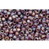 Acheter au détail cc177f perles de rocaille Toho 11/0 trans-rainbow frosted smoky topaz (10g)