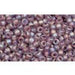Vente en gros cc166df perles de rocaille Toho 11/0 trans-rainbow frosted light tanzanite (10g)
