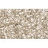 Creez cc2100 perles de rocaille Toho 15/0 silver-lined milky white (5g)