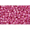 Vente au détail cc2106 perles de rocaille Toho 11/0 silver lined milky hot pink (10g)