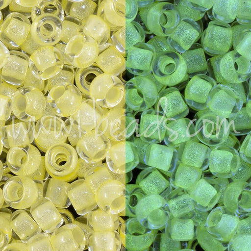 Vente cc2721 perles de rocaille Toho 8/0 Glow in the dark yellow/bright green (10g)