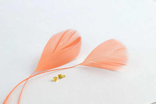 Achat en gros plumes naturelles colorées rose saumon x2 ( 4-6 cm) créations manuelles, bijoux, décoration, scrapbooking